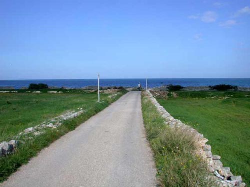 Kstenstrae nach Giovinezzo
