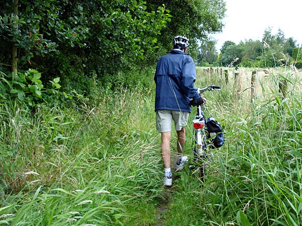 Superschmaler Radweg...