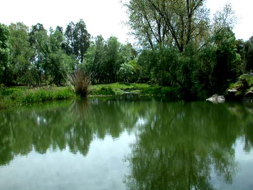 Picknickplatz am See