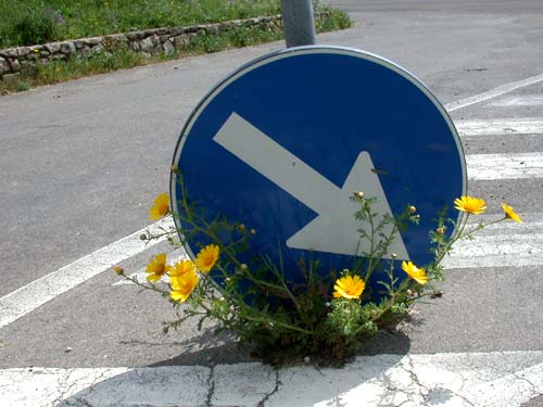 Dekoriertes Straenschild