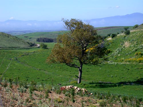Campidanoebene
