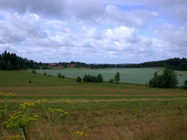 Schwedische Landschaft VIII - Srmland