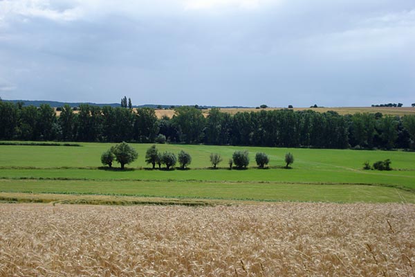 Landschaft an der Unstrut